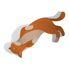isometric lying cat