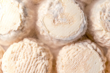 French cheese Goat Croutting. Healthy food. Natural product.