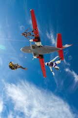 Sports parachutist build a figure in free fall. Extreme sport concept.