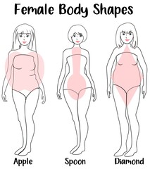 FEMALE BODY SHAPES APPLE, SPOON, DIAMOND