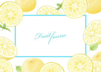 夏　フルーツ　グレープフルーツ　レモン　オレンジ　イラストセット