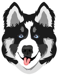 HANDSOME HUSKY FACE