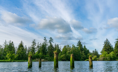 Beautiful and Historice Chehalis River Kayak Trip Montesano, Washington State