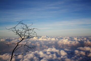 Beautiful scenery from the top of Mount Ciremai, Kuningan, West Java, Indonesia.