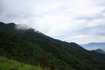 Forest landscape in Mount Guntur, West Java, Indonesia.
