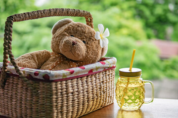 teddy bear in a picnic basket