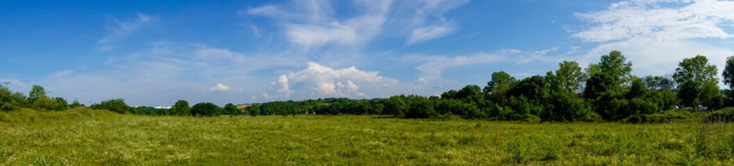 Green grass and blue sky