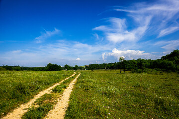 Country road in the field