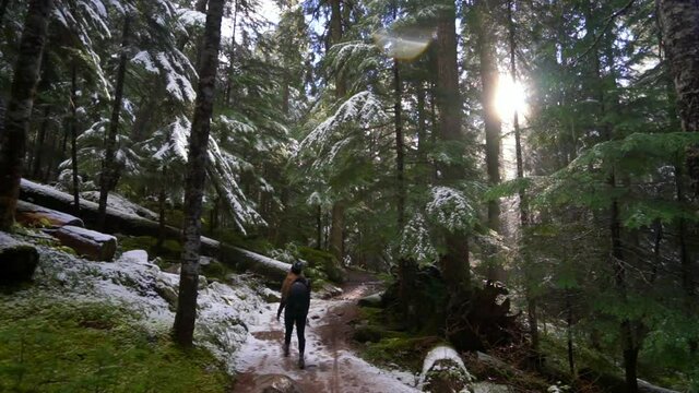 Full length of female hiker walking on hiking trail during snowfall in forest - Cheakamus Lake, British Columbia