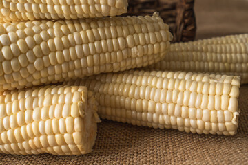 Corn close up. Fresh raw organic uncooked corn close up on rustic background