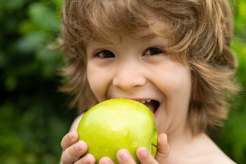 Laughing cute blond kid little child baby boy eating big apple fruit. Portrait on blurred background.