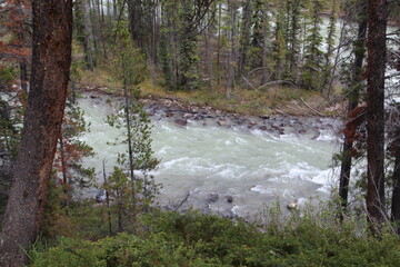 Over The Sunwapta River, Jasper National Park, Alberta