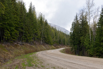 Road through the forest near Anglemont, British Columbia, Canada