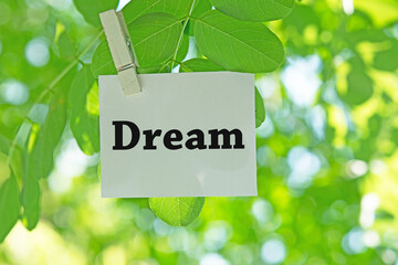 DREAM