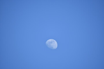 Moon Over Blue Morning Sky