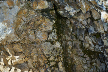 Image of icicles on a rock.