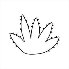 Cactus, hand drawn vector illustration