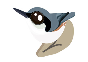 Chestnut-vented nuthatch bird cartoon. Birds collection nuthatch, cute bird vector illustration.