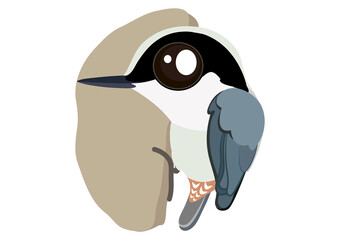 Giant nuthatch bird cartoon. Birds collection nuthatch, cute bird vector illustration.