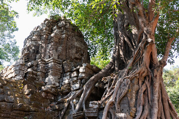 Fototapeta na wymiar Alive tree growing next to four carved faces at ancient temple Ta Som in Angkor region, Bayon, Siem Reap, Cambodia, South east Asia