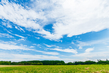 Fototapeta premium 青空と雲