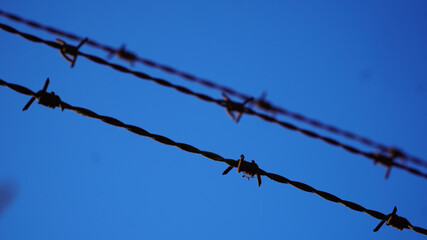 barbed wire