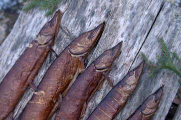 smoked pike in the Smoking box, top view
