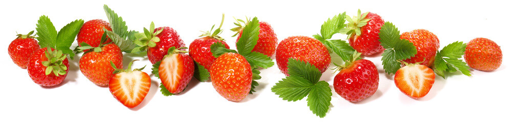 Strawberries Panorama with Leaves isolated on white Background - Strawberry Fruits