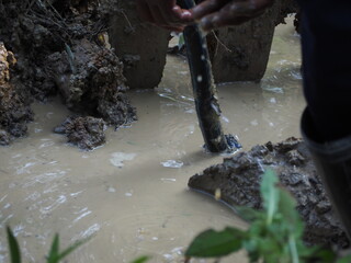 Obraz premium Burst pipe or leaking pipe is under repairing