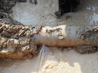 Broken pipe or leaking pipe should be repaired immediately