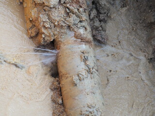 Burst pipe or leaking pipe should be repaired immediately