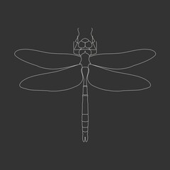 Dragonfly sign for branding identity. Outline icon