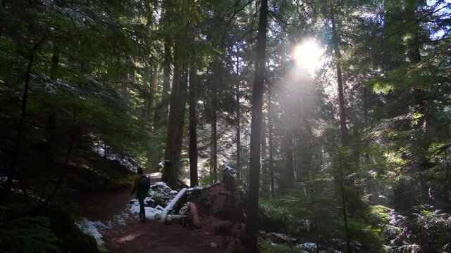 Slow motion shot of female hiker walking amidst trees during snowfall in forest - Cheakamus Lake, British Columbia