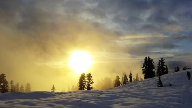 Trees on snow against glowing sun during sunset - Elfin Lakes, British Columbia