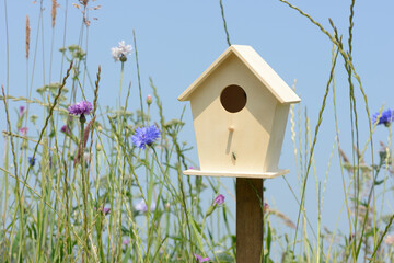 nesting box  on meadow with tall grass and colorful wild flowers in front of blue sky