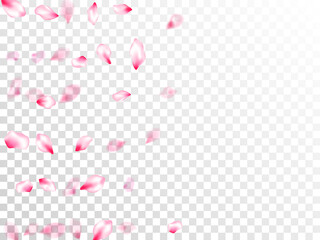 Spring tree flowers parts, airy flying petals