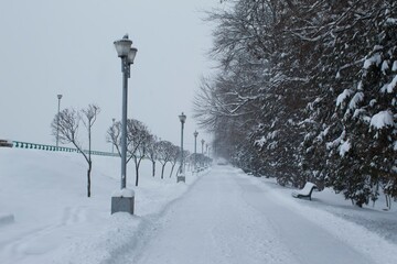 winter in the park