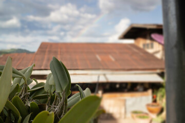 Vintage house roof with cloudy sky