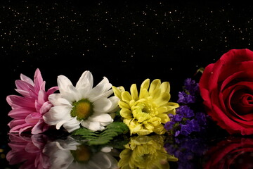 beautiful multi-colored flowers on a shiny background