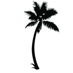 palm tree silhouette vector illustration isolated on white background