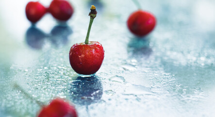 Some ripe fresh home grown cherry on the light glass background with freeze spraying water drips. Back light. Copy space for text. Close up macro shoot.