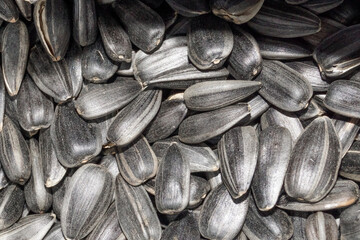 sunflower seeds background