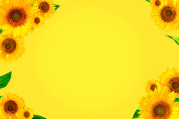 yellow background and sunflower 2781B