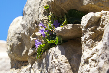 Castle of Monolithos, Rhodos