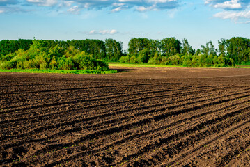 Agricultural landscape, arable crop field. Arable land is the land under temporary agricultural