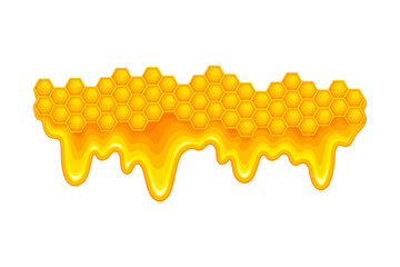 Honey omb with Hexagonal Wax Cells and Flowing Down Sticky Liquid Vector Illustration