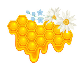 Honey omb with Hexagonal Wax Cells and Flowers Vector Illustration