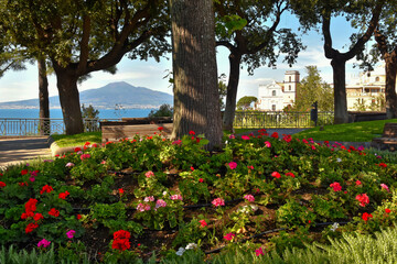 Flowers in a public garden in Vico Equense in the province of Naples, Italy.
