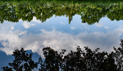 Reflection of tree line and clouds in calm water