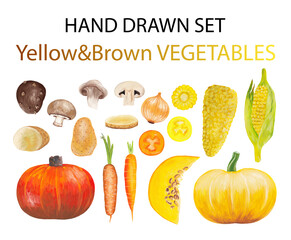 Hand drawn set of green vegetables. Raster collection of gouache realistic vegetables of yellow-brown color: corn, onion, carrot, tomato, pumpkin, potato, mushroom, potato,